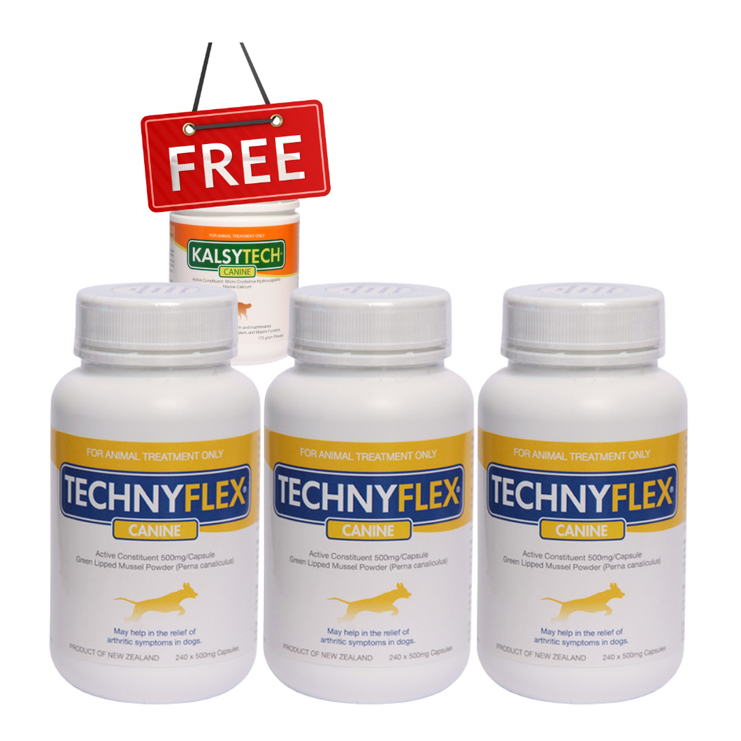☆SPECIAL☆ TRIPLE PACK Technyflex® Canine 240 x 500mg Capsules + 1 FREE Kalsytech® Canine Calcium supplement 175g Powder Tub