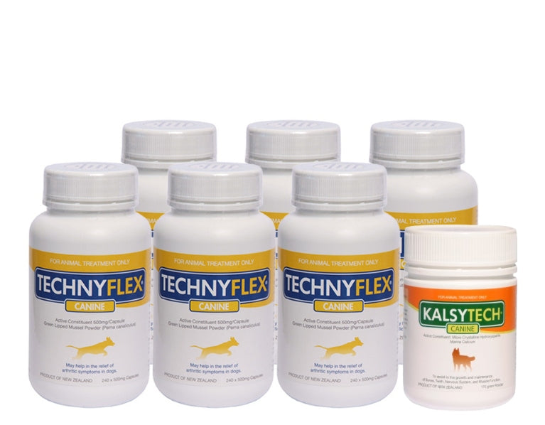 ☆SPECIAL☆ SIX PACK Technyflex® Canine Joint Supplement 240 Capsules 500mg  + Free Kalsytech® Canine Calcium supplement 175g Powder