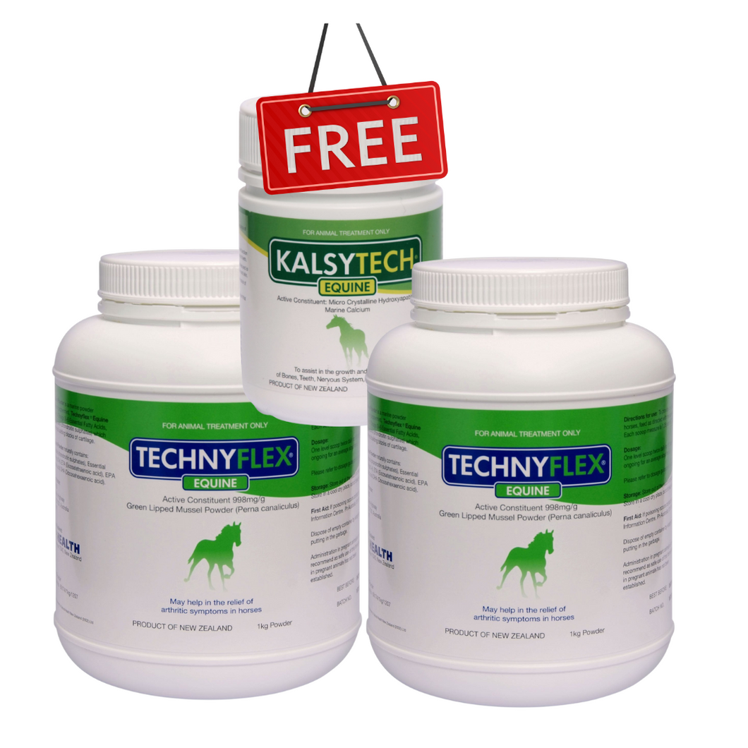 ☆SPECIAL☆ TWIN Technyflex® Equine 1kg Powder + 1 FREE Kalsytech® Equine Calcium Supplement 175g powder tub