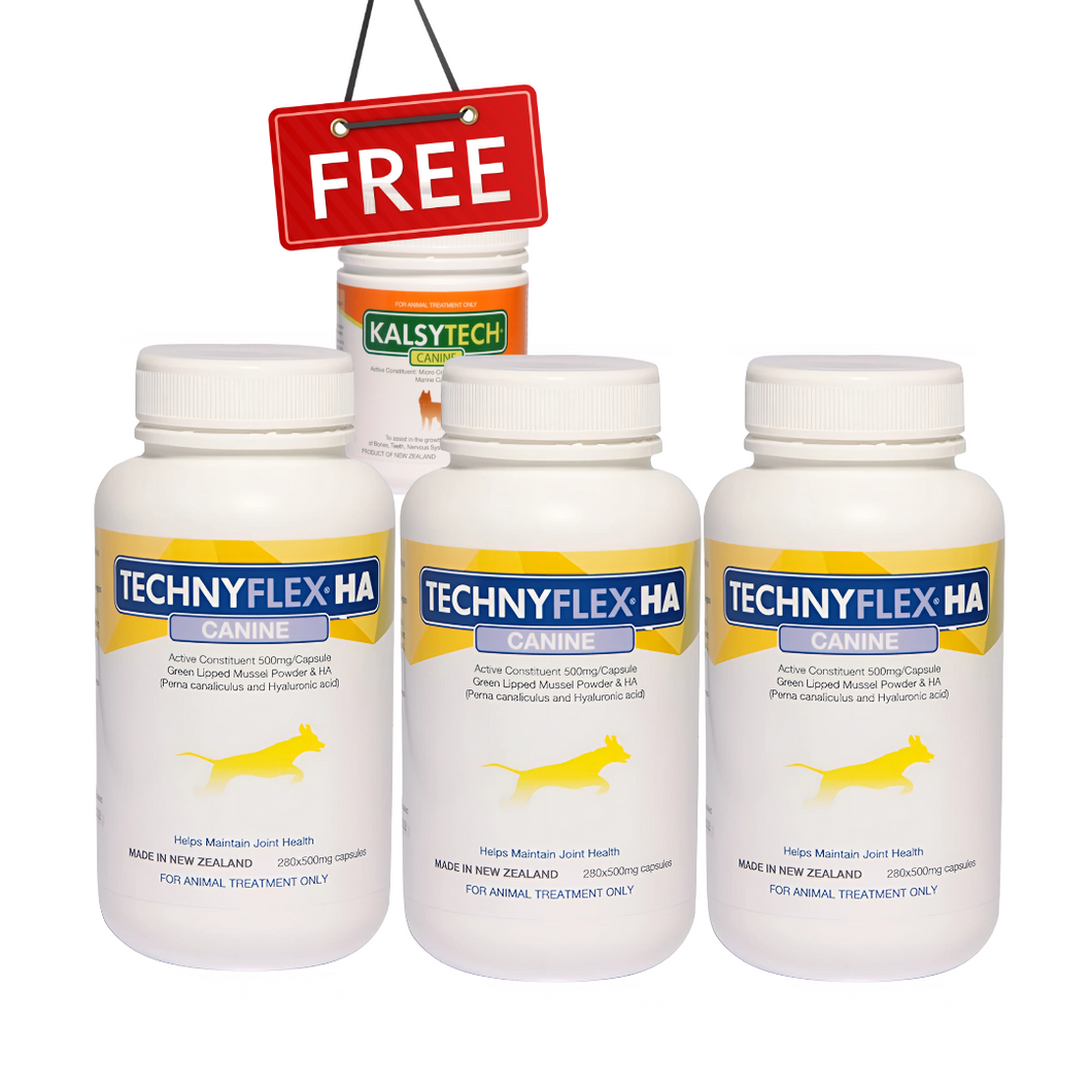 ☆SPECIAL☆ TRIPLE PACK Technyflex® HA Canine Joint Supplement 280 x 500mg Capsules + 1 FREE Kalsytech® Canine Calcium supplement 175g Powder Tub